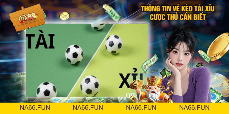 Soi Kèo Tài Xỉu - Bí Kíp Thắng Cao Từ Cao Thủ QH88