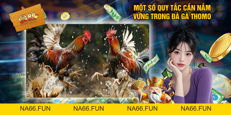 Đá Gà Thomo - Trực Tiếp Siêu CUP Live Có Bình Luận Viên
