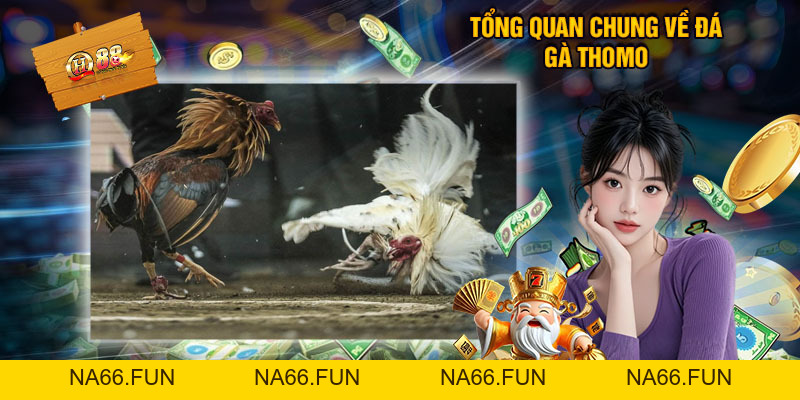 Đá Gà Thomo - Trực Tiếp Siêu CUP Live Có Bình Luận Viên