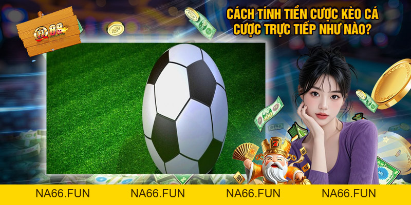 Hướng Dẫn Chơi Kèo Cá Cược Trực Tiếp Thể Thao QH88