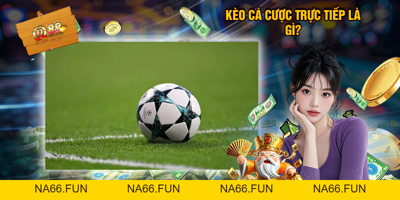 Hướng Dẫn Chơi Kèo Cá Cược Trực Tiếp Thể Thao QH88