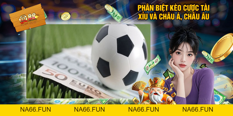 Kèo Tài Xỉu Là Gì? Những Thông Tin Thú Vị Về Kèo Bóng Đá Này