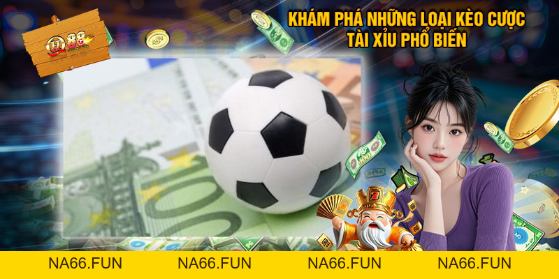 Hướng Dẫn QH88 - Tất Tần Tật Quy Trình Tân Thủ Cần Biết