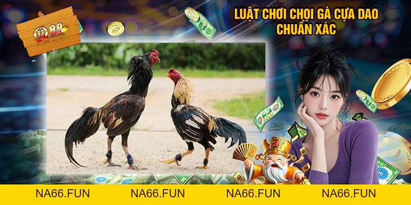 Đá Gà Cựa Dao Qh88 - Tổng Hợp Thông Tin Thú Vị Cần Biết