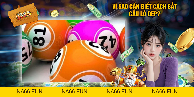 Bắt Cầu Lô Đẹp Chính Xác Từ những Bí Kíp Của Chuyên Gia