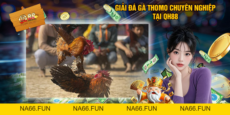 Casino QH88 - Sòng Bài Trực Tuyến Hàng Đầu Châu Á